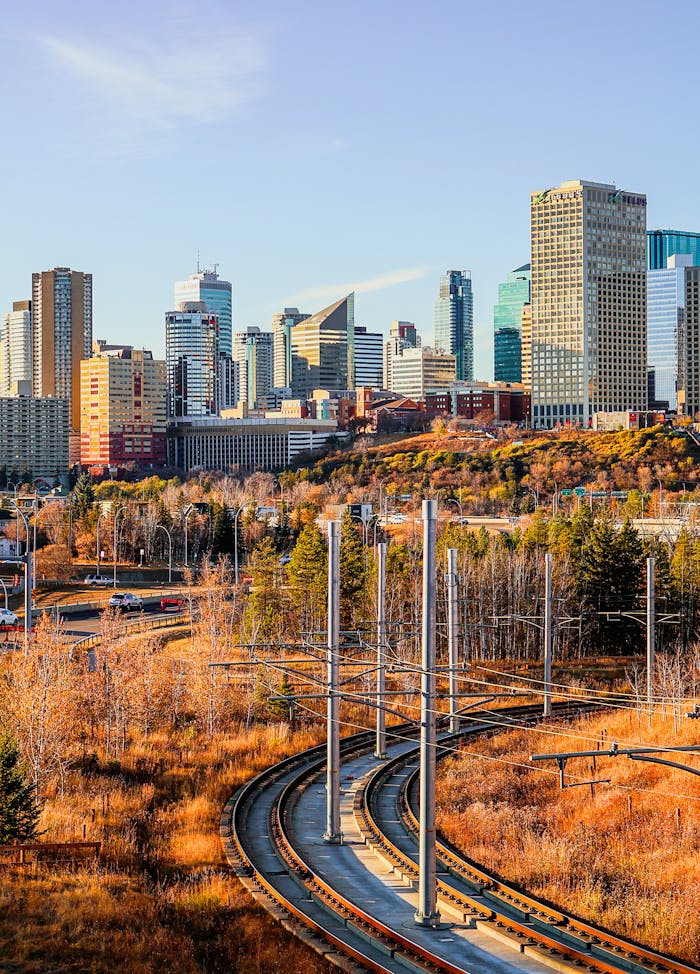 Vibrant autumn cityscape featuring skyline and train tracks at dawn.