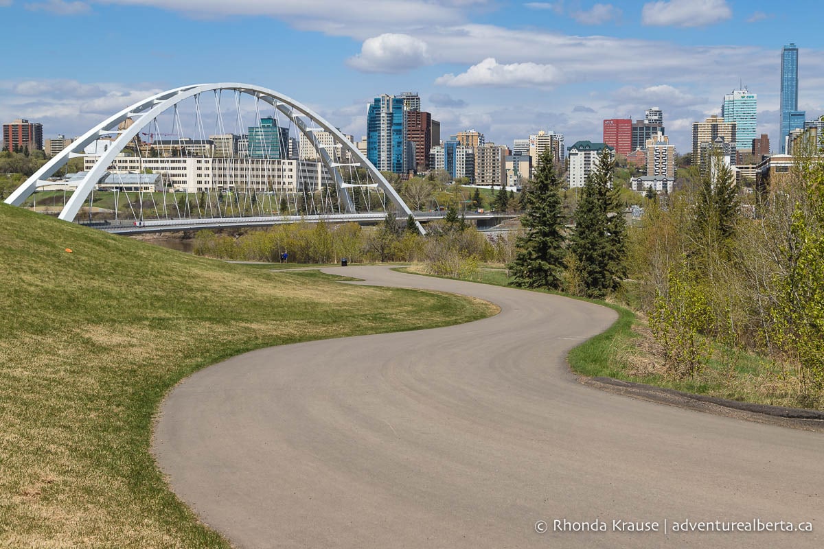 Beginner-Friendly Bike Paths in Edmonton: Where to Start Cycling in the River Valley