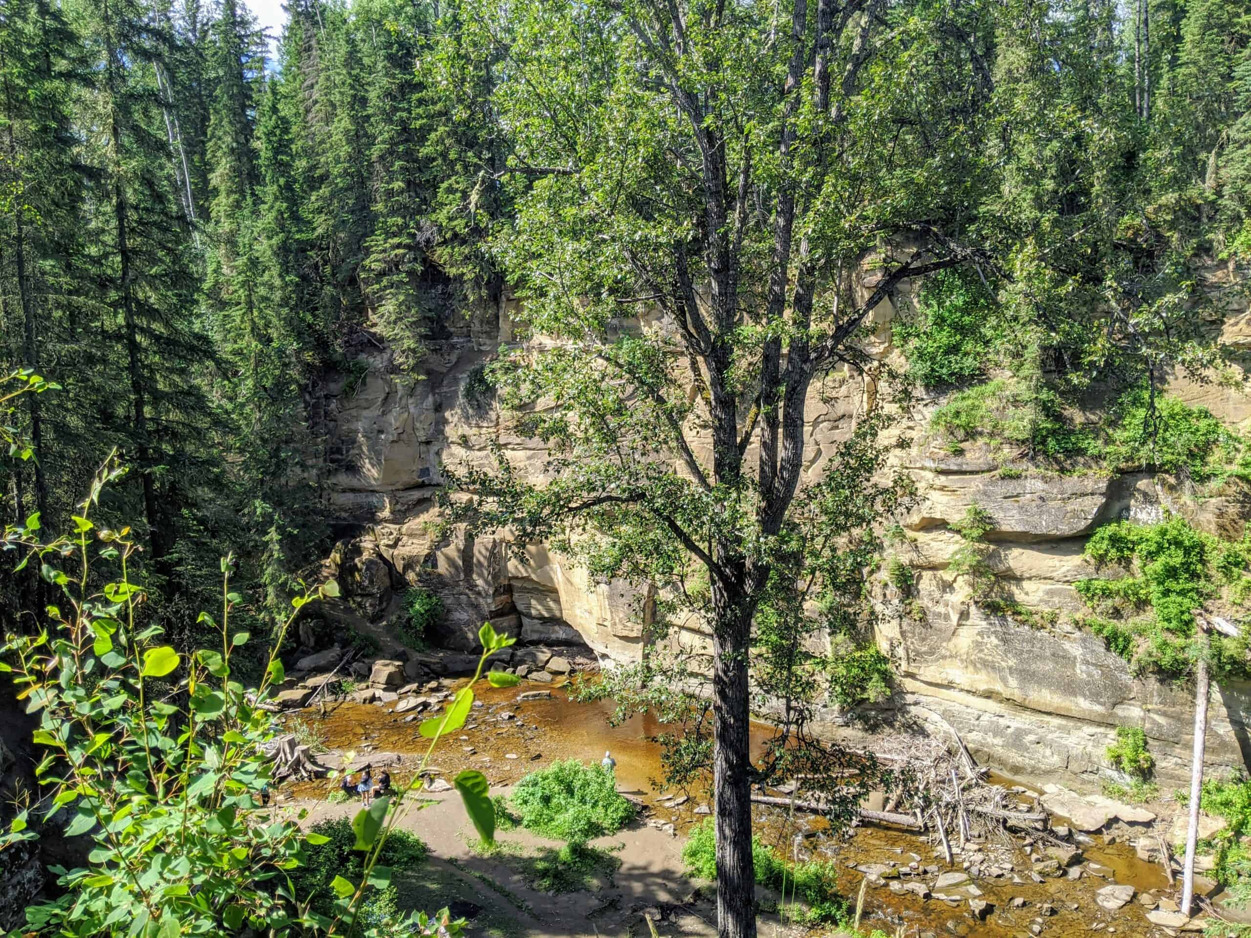 Challenging Trails: Technical Terrain and Serious Elevation