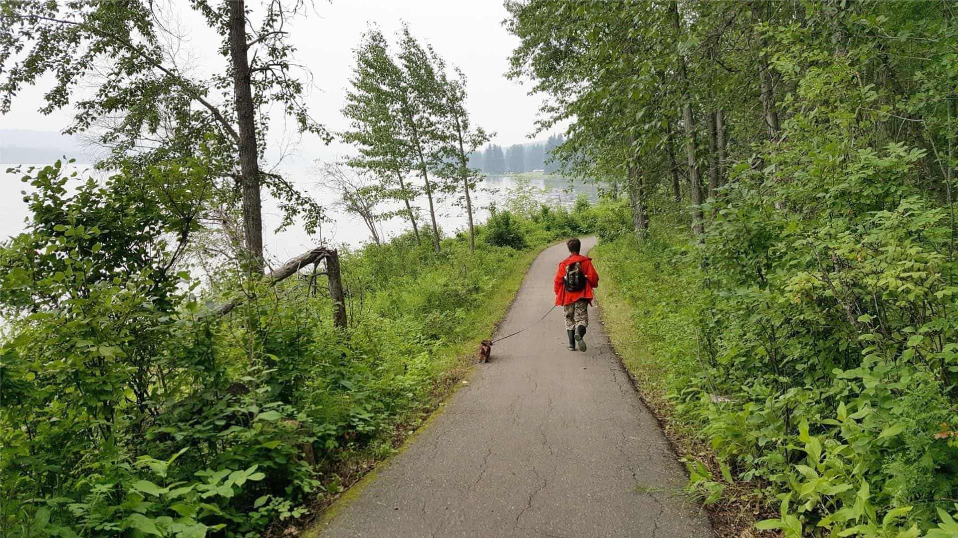 Best Hiking Trails Near Edmonton by Difficulty: From River Valley Walks to Mountain Scrambles