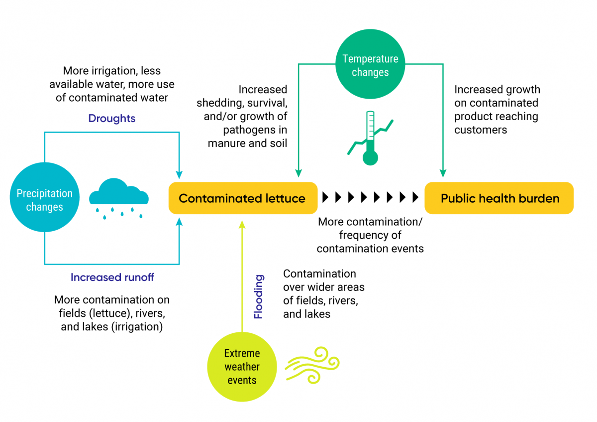Nutrition Strategies for Climate Extremes