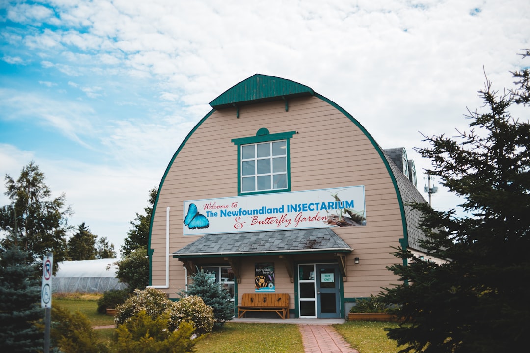 7 Unforgettable Edmonton Family Activities To Try This Year (2026) 7 Unforgettable Edmonton Family Activities To Try This Year (2026) - 3. Royal Alberta Museum (RAM)