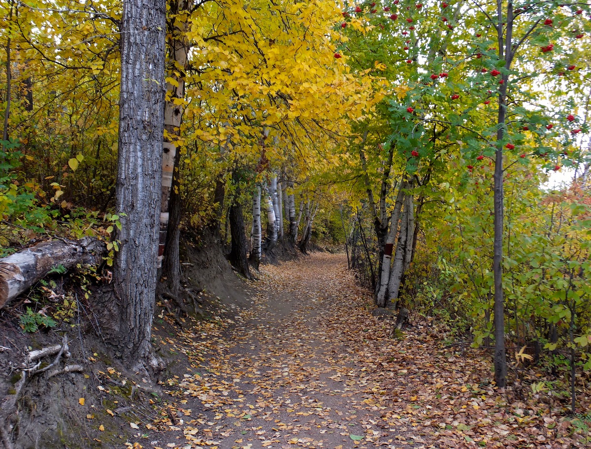 running trails edmonton river valley