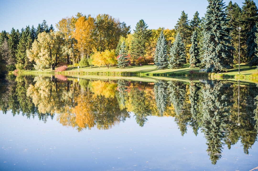 How to Find Wellness Services Near Oliver, Edmonton: A Step-by-Step Guide Step 7: Build a Seasonal Rotation So It Actually Sticks