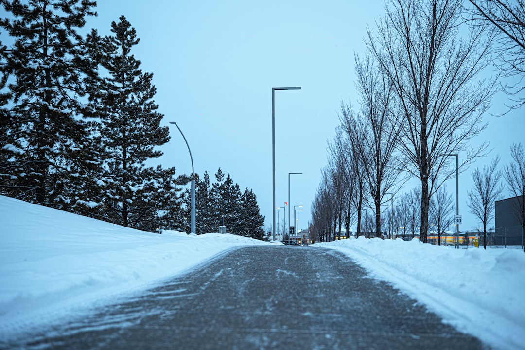 Winter Accessibility and Driving Conditions