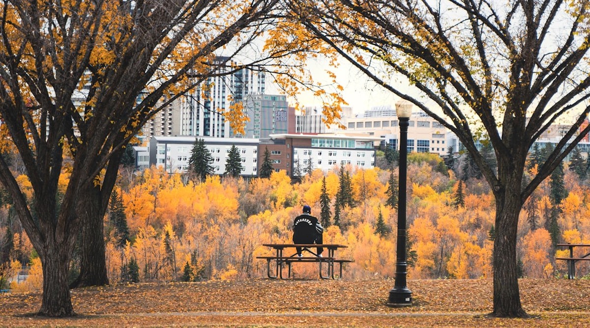 stress management techniques for edmonton winter months clean