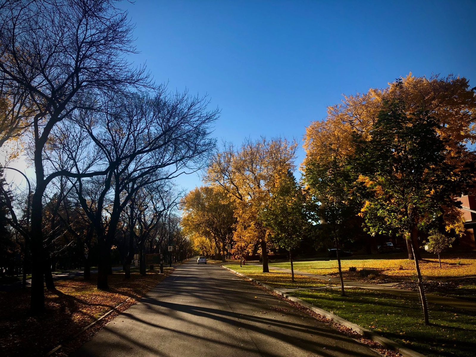 Whyte Avenue and Old Strathcona Studios