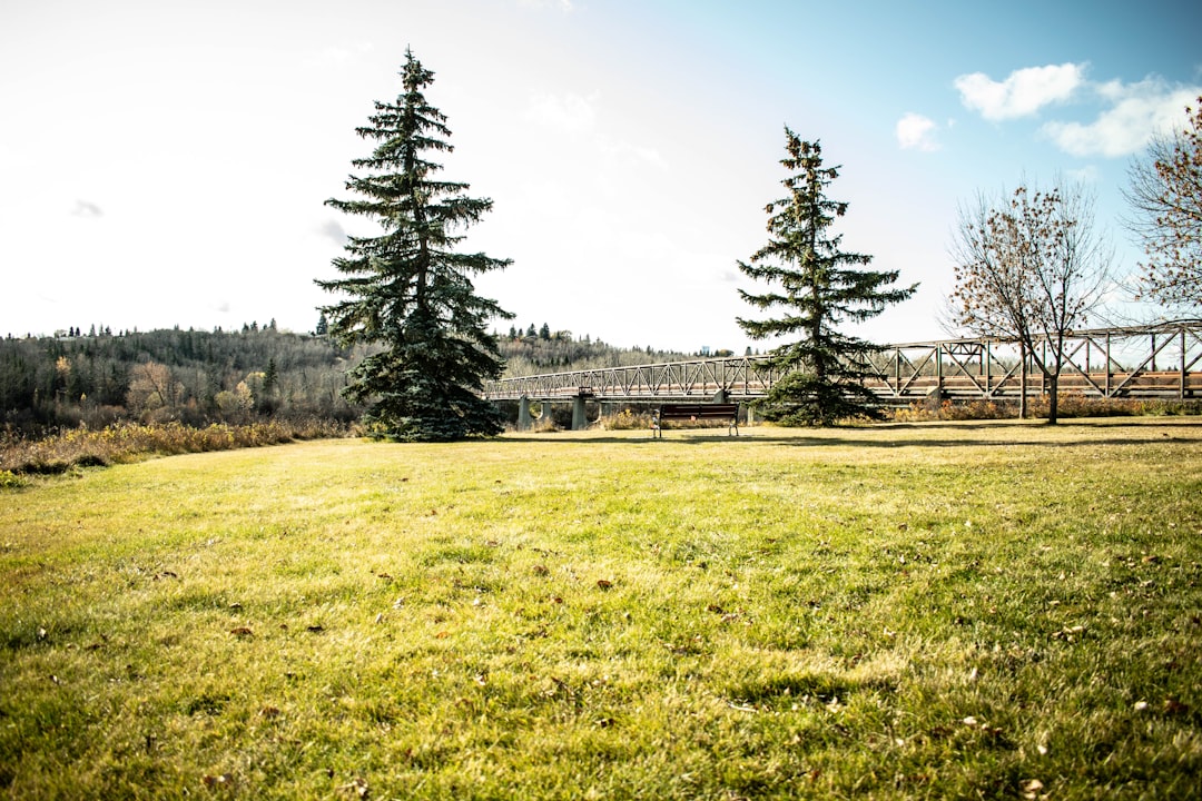What Causes Edmonton Spring Allergies to Wreck Your Workout Routine: The Complete Guide Why Edmonton's Spring Pollen Season Hits So Hard