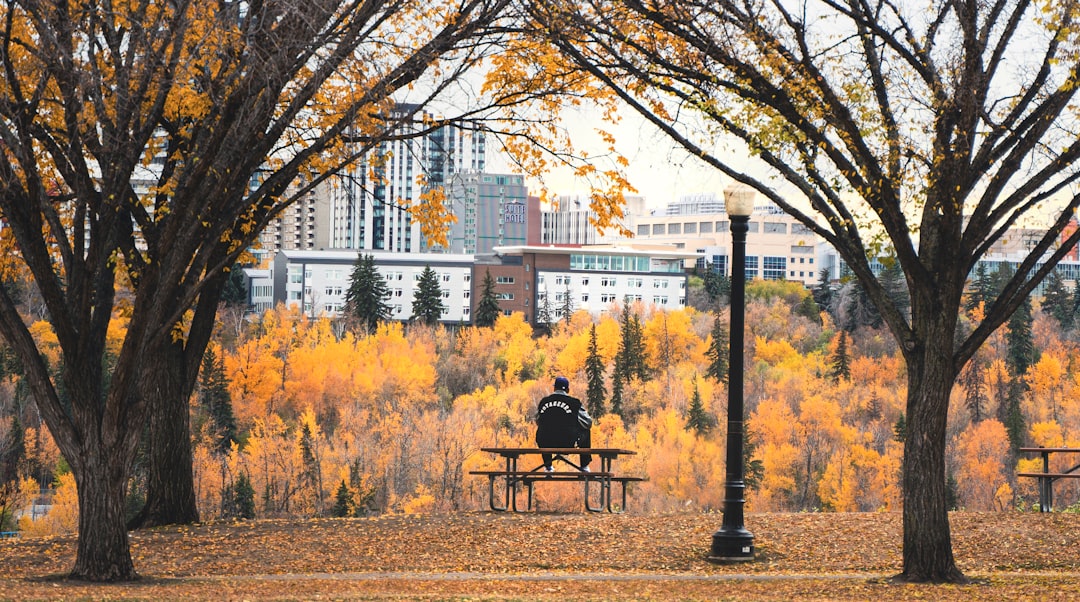 The Psychology Behind Habit Collapse
